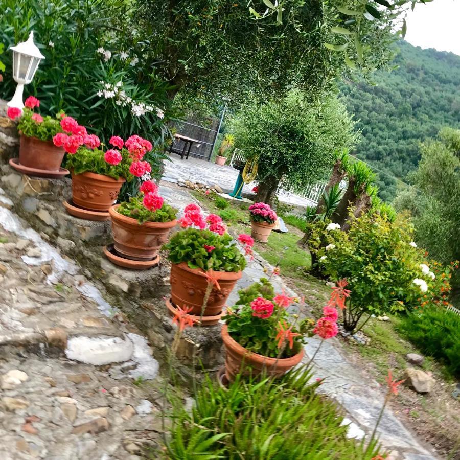 Appartamento Casa Belvedere Diano San Pietro Esterno foto